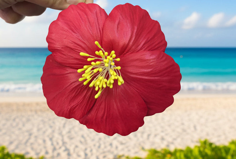 Hibiscus Sei Ear Flower