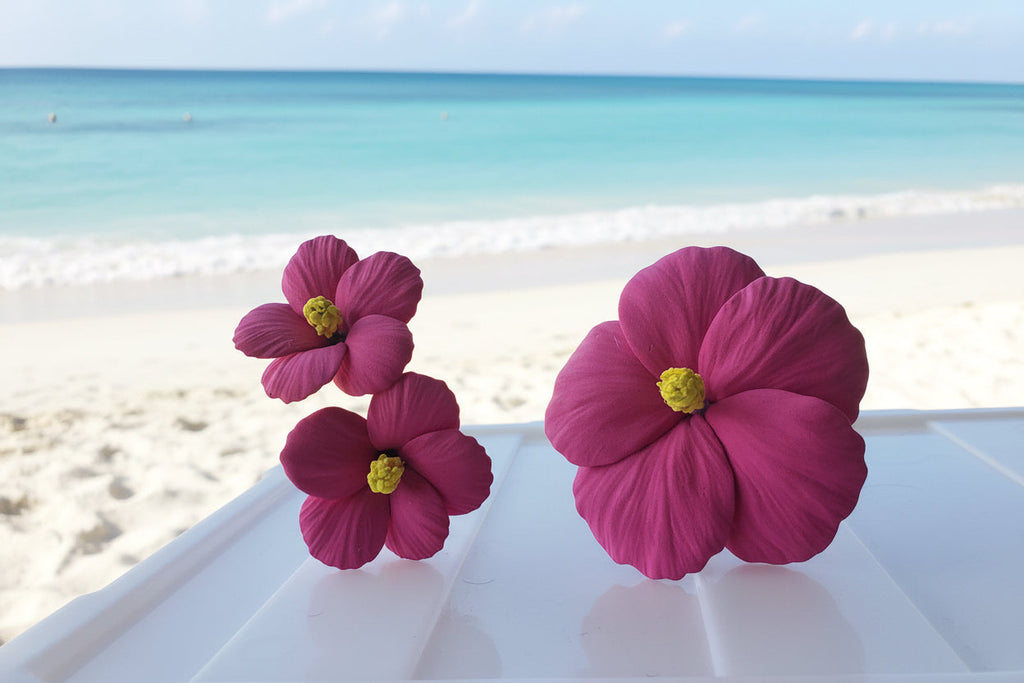 Island Bloom Hibiscus Seis