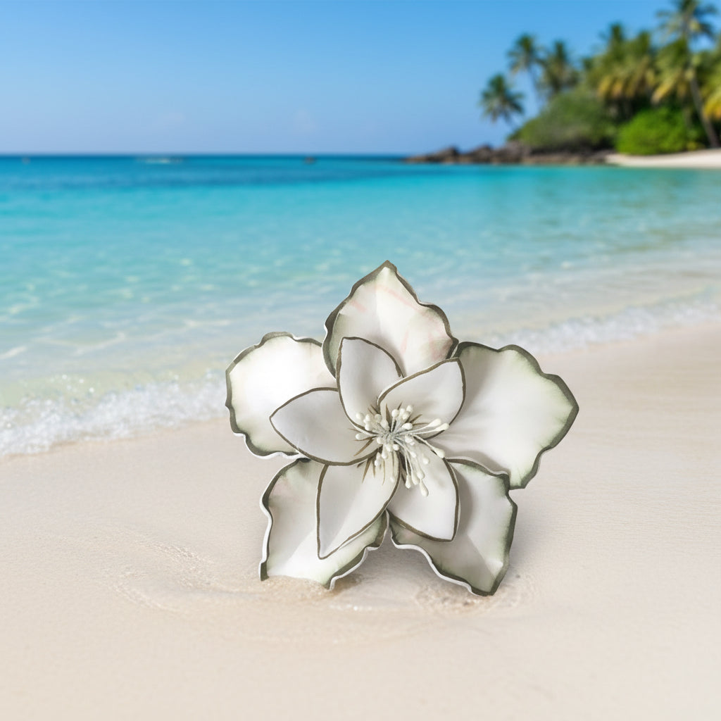 Island Sei’s🌺