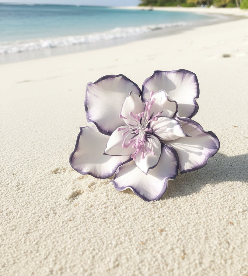 Island Sei’s🌺