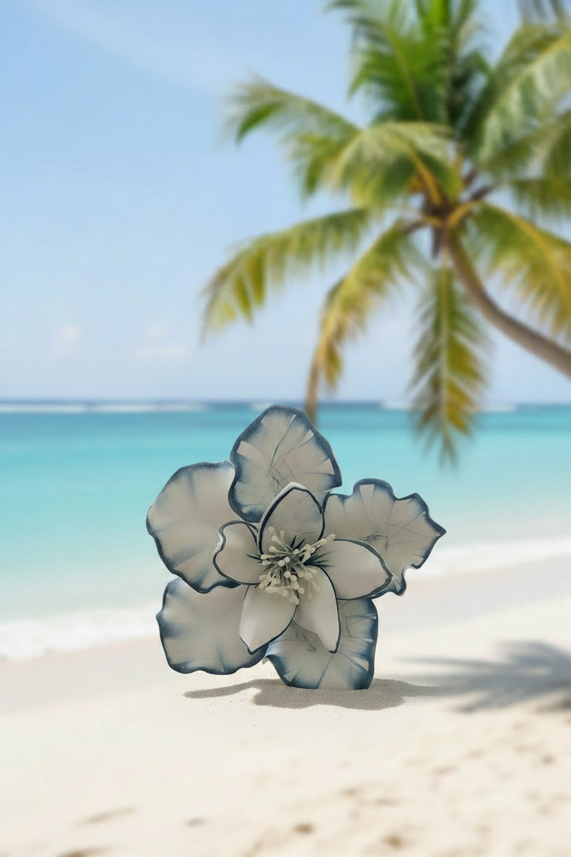 Island Sei’s🌺