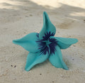 Moana Sei – Ocean Teal  is