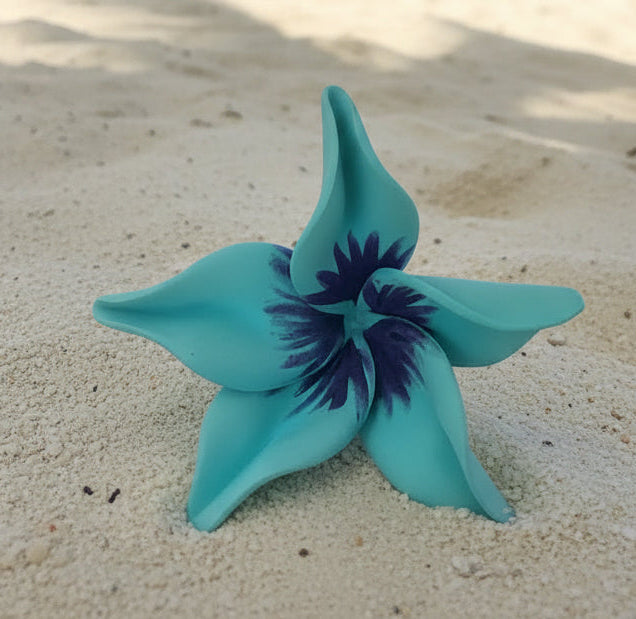 Moana Sei – Ocean Teal  is