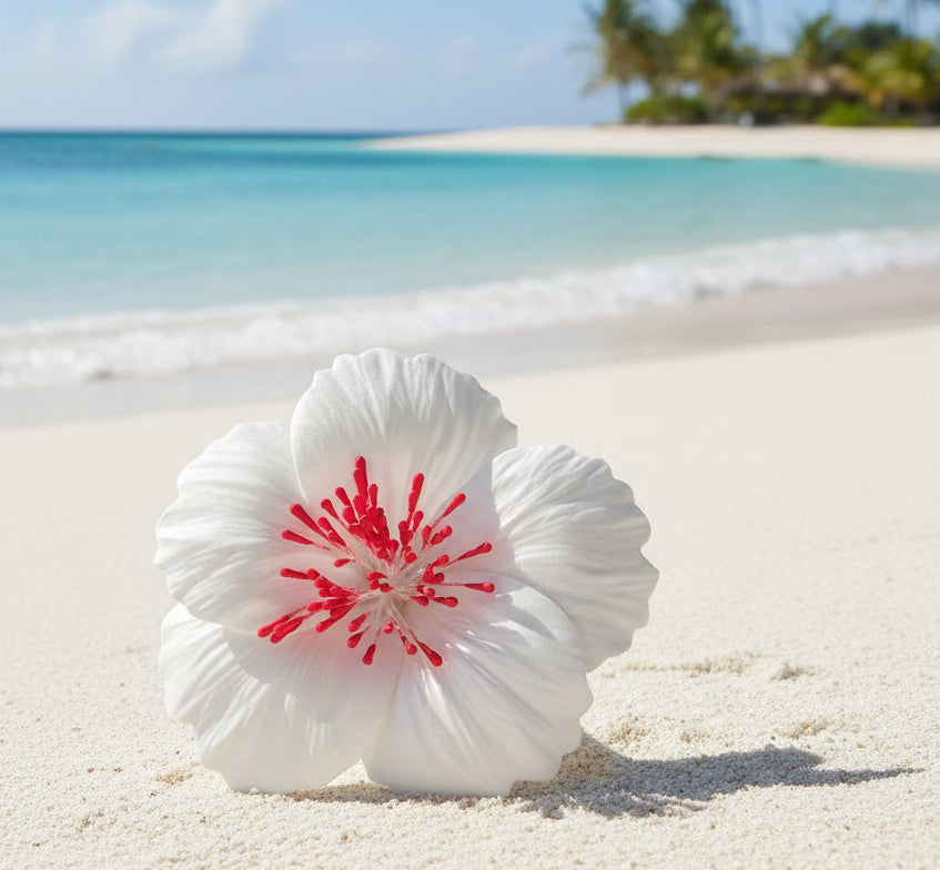 Hibiscus Sei Ear Flower