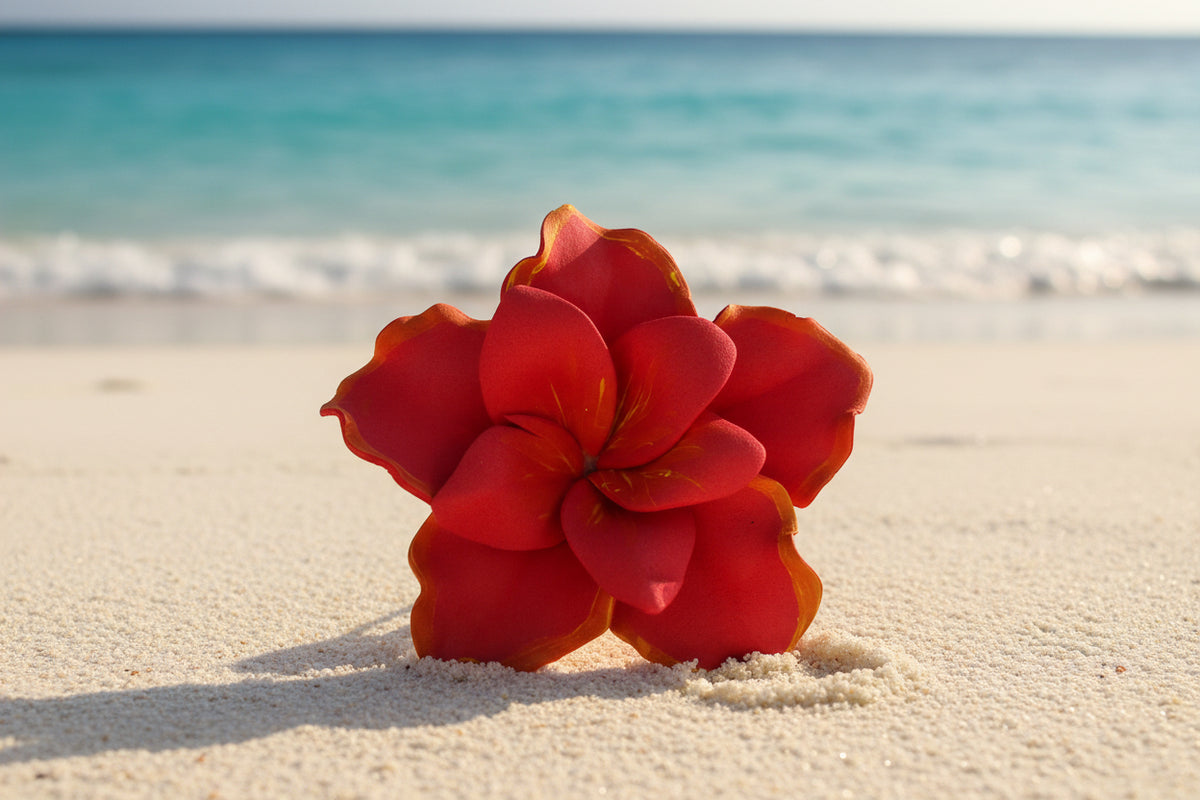 Island Sei’s🌺