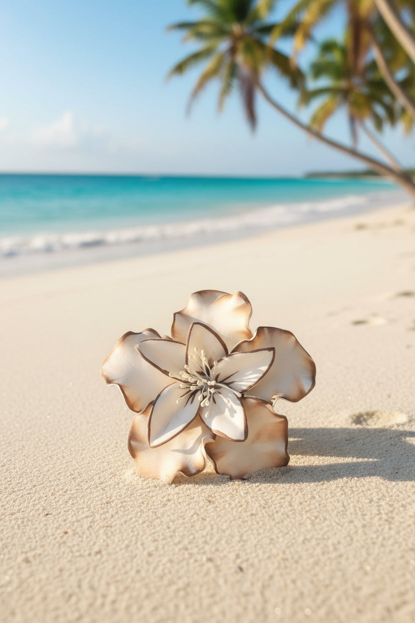 Island Sei’s🌺